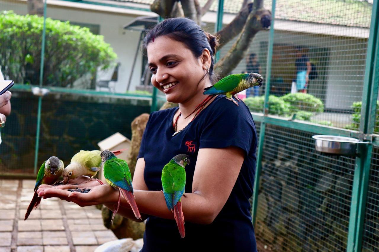 Manas Resort With Petting Zoo, Igatpuri Exterior foto